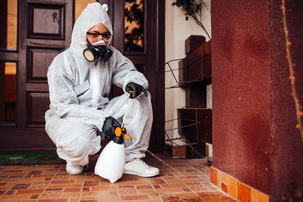 Reliable Wasp Removal contractor in Crossett, AR by Show Me Pest Control